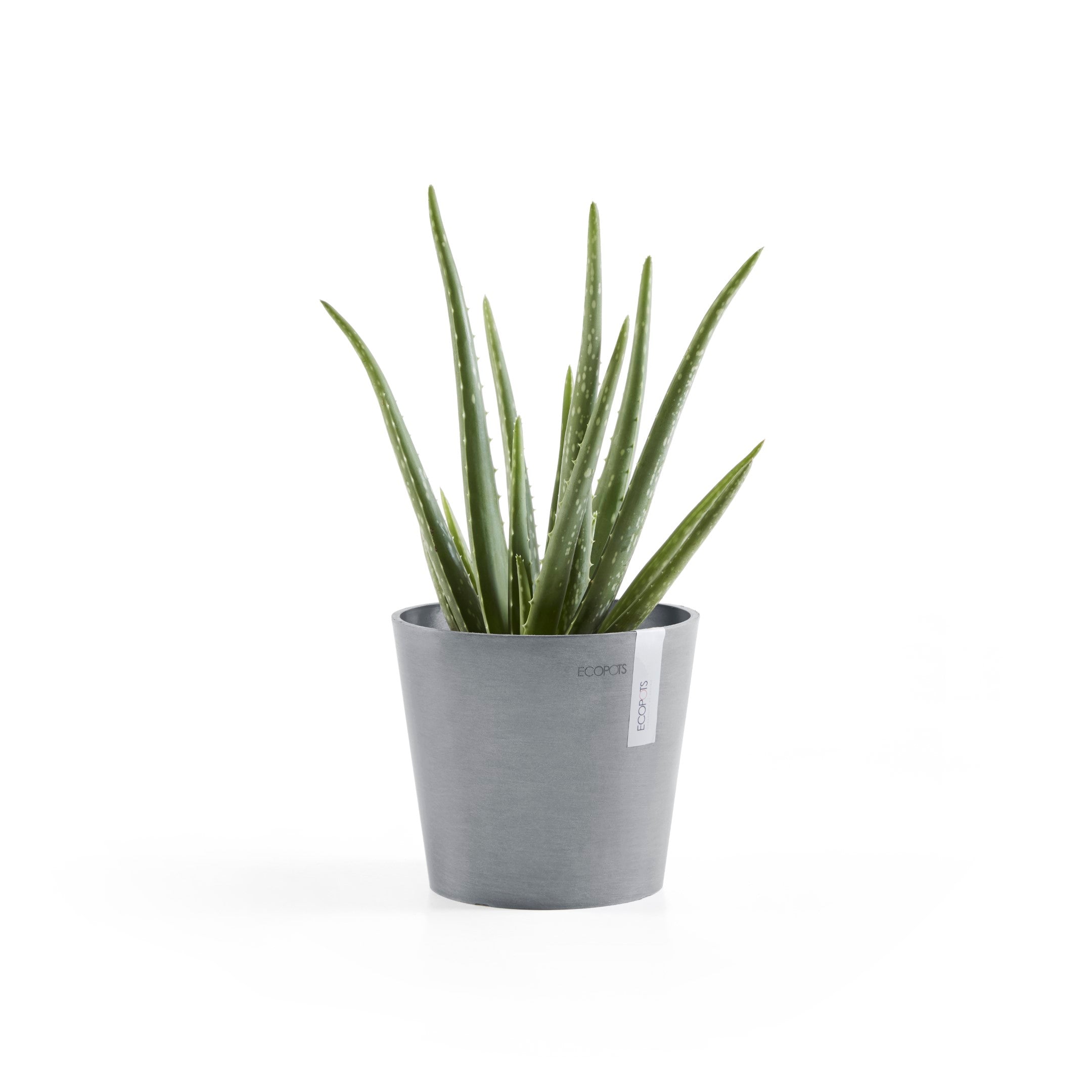Standard Ecopot