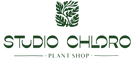 Studio Chloro