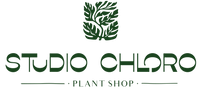 Studio Chloro