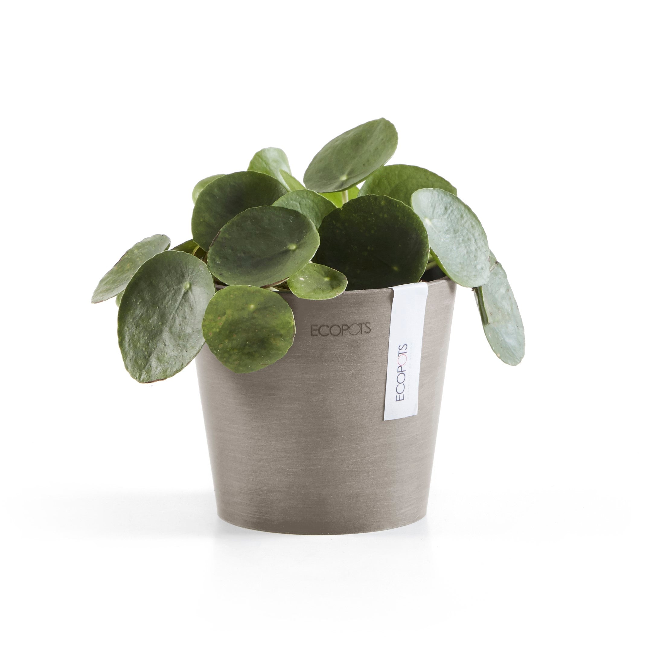 Standard Ecopot