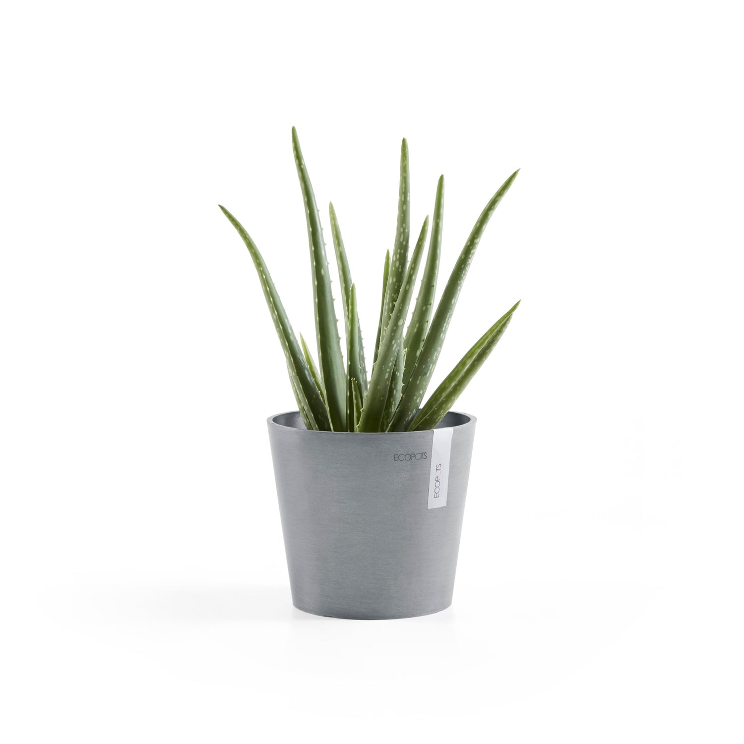 Standard Ecopot