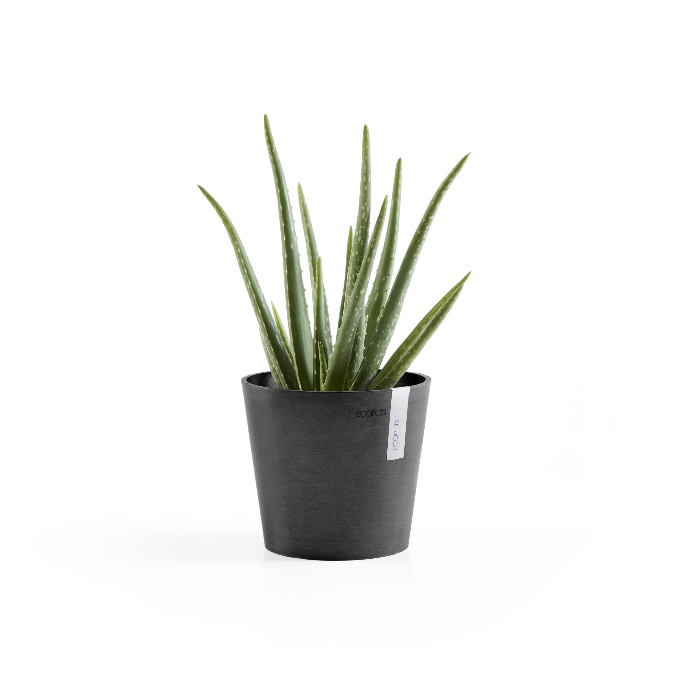Standard Ecopot
