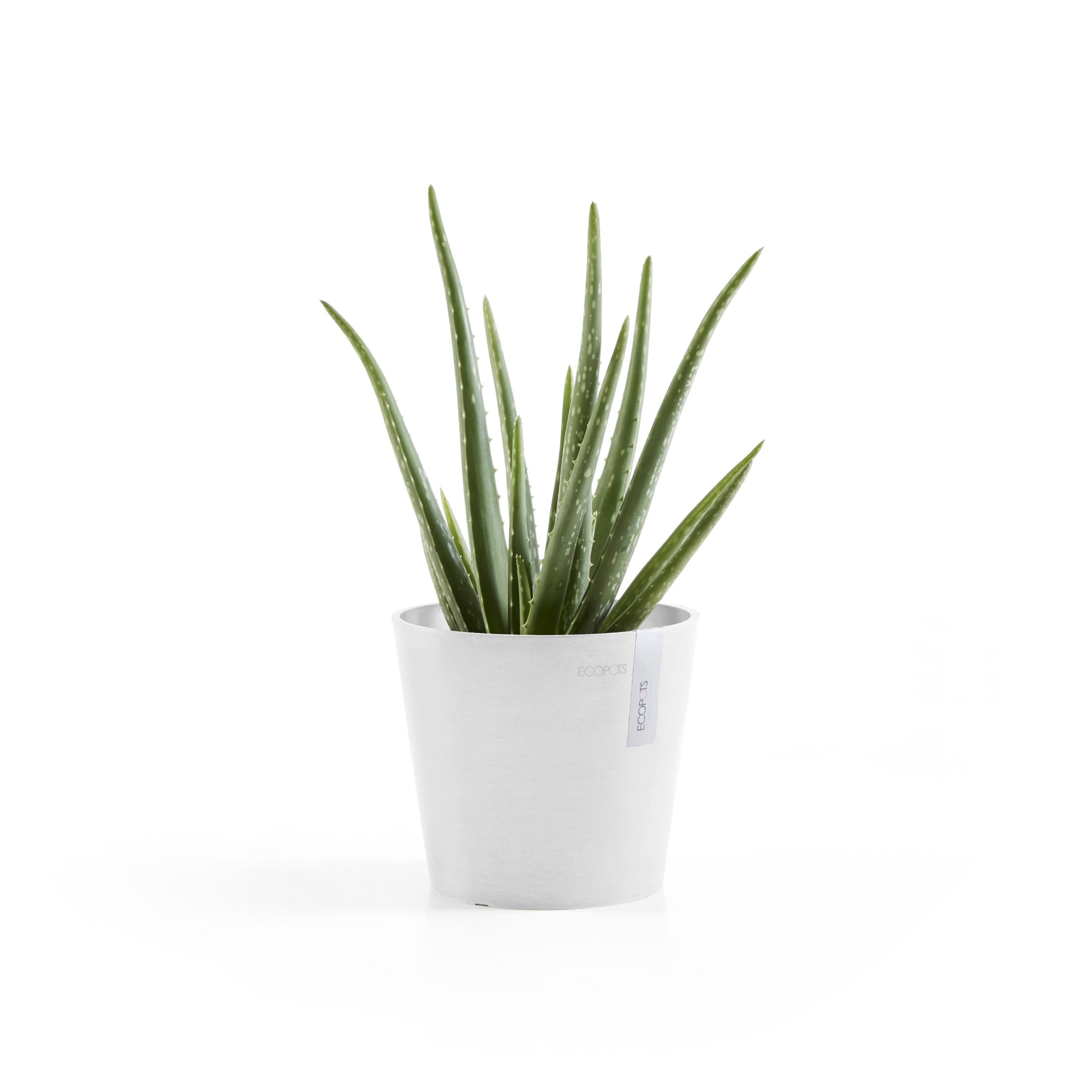 Standard Ecopot