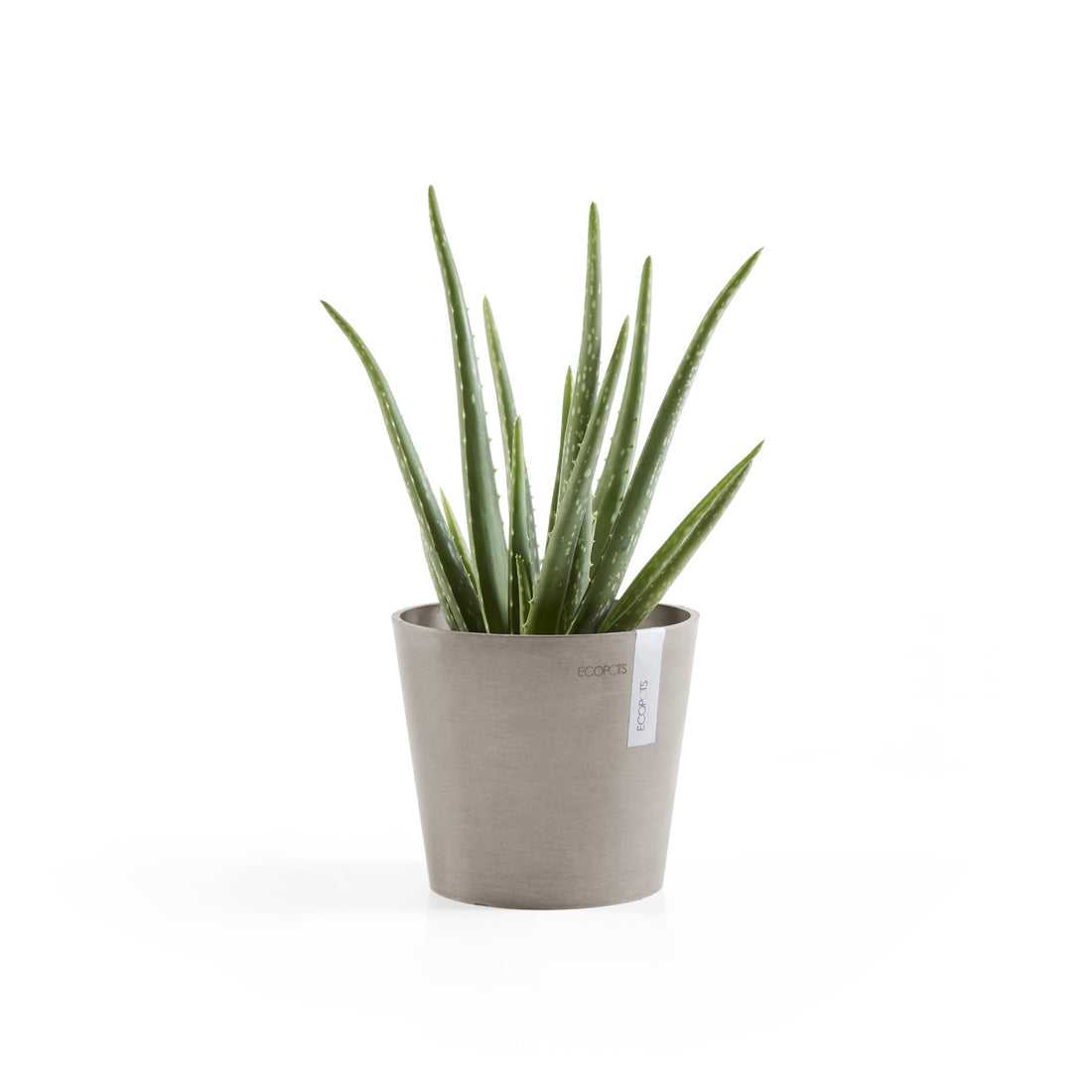 Standard Ecopot