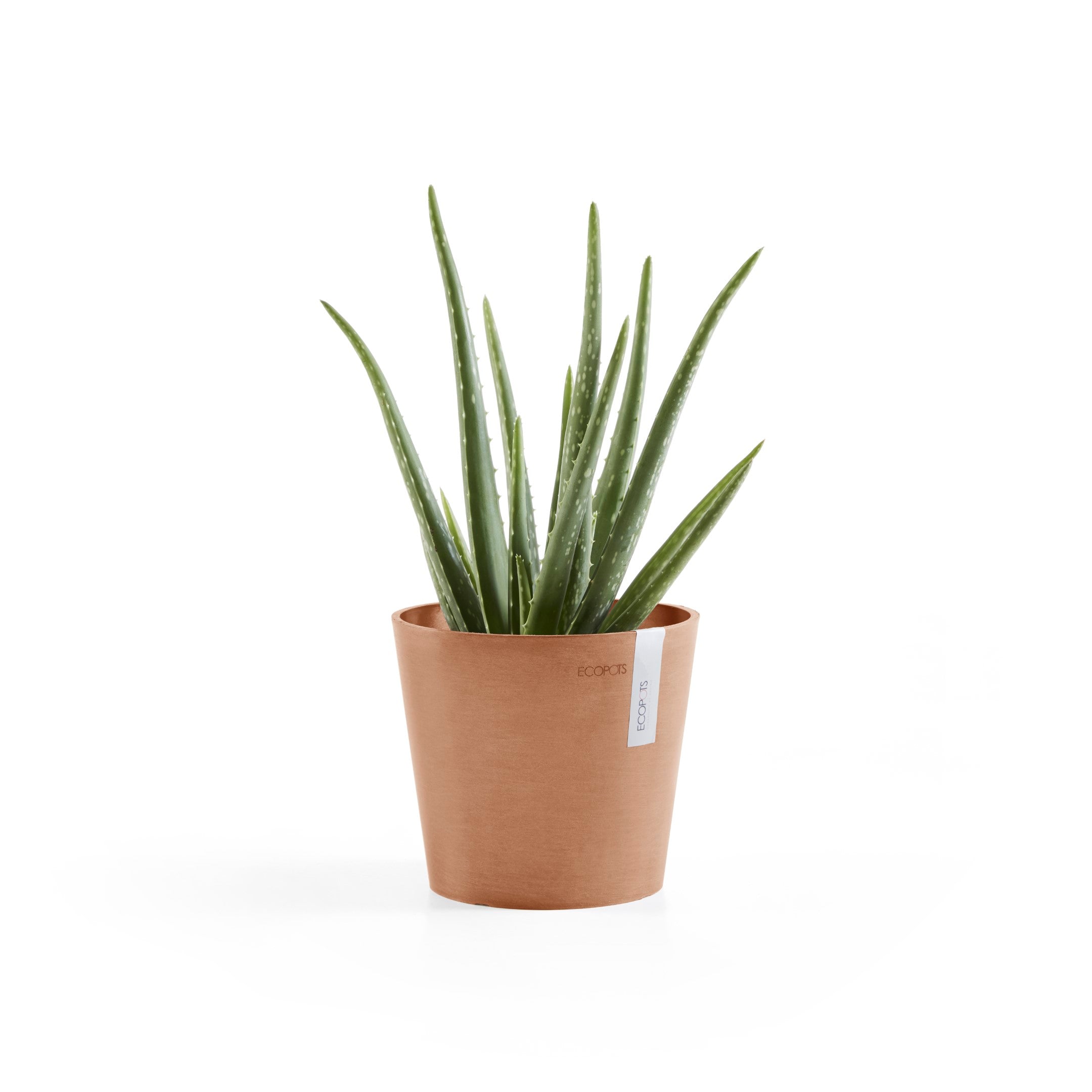 Standard Ecopot