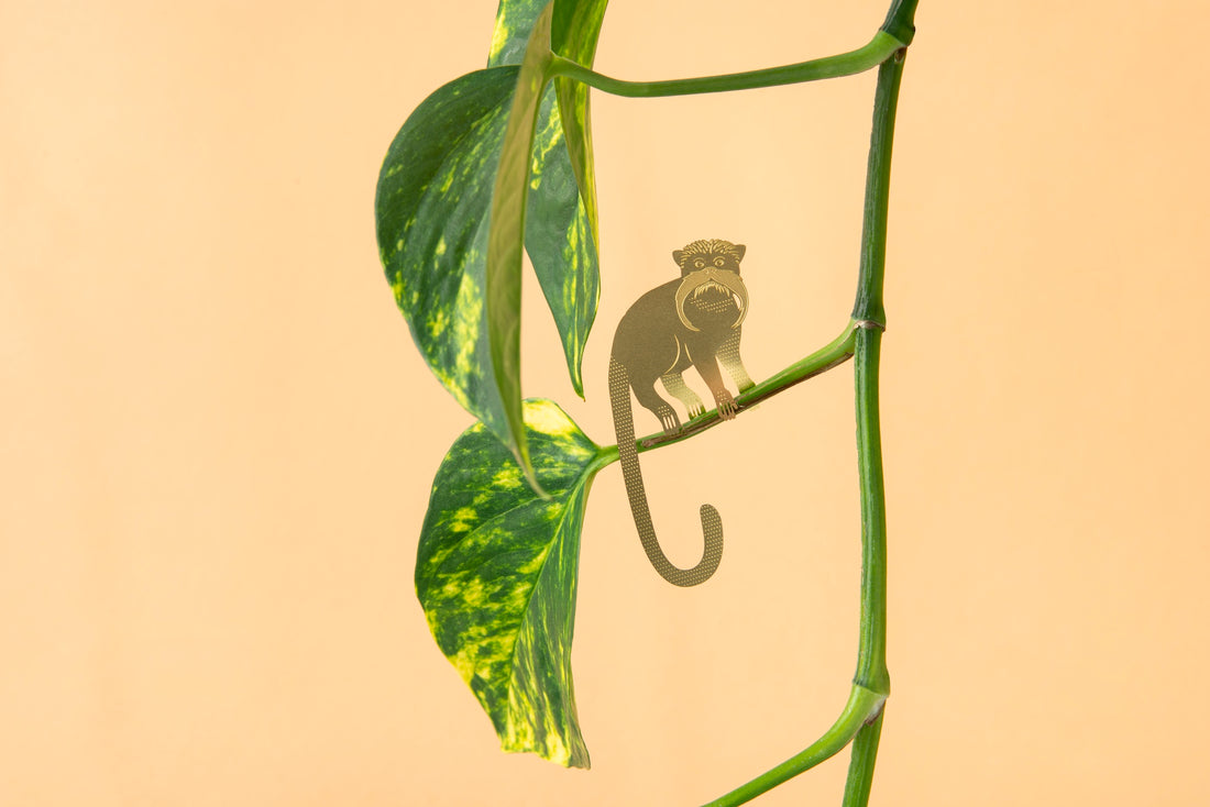 Plant Animals - Tamarin