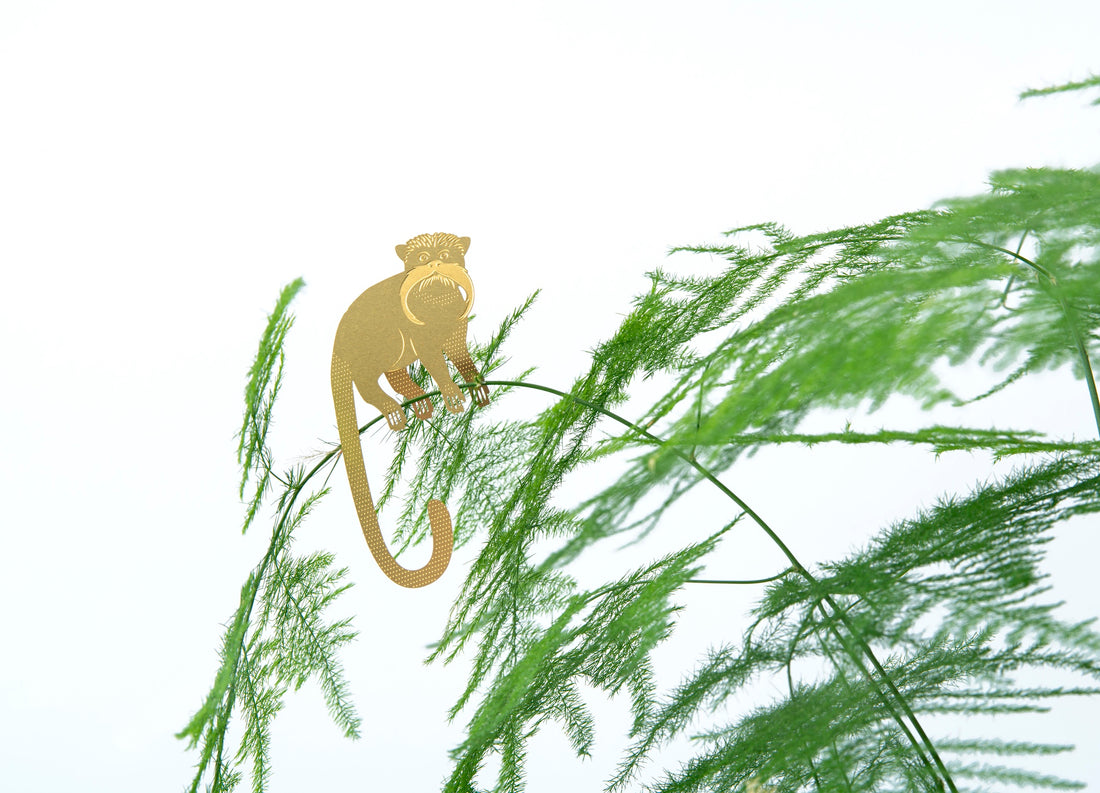 Plant Animals - Tamarin