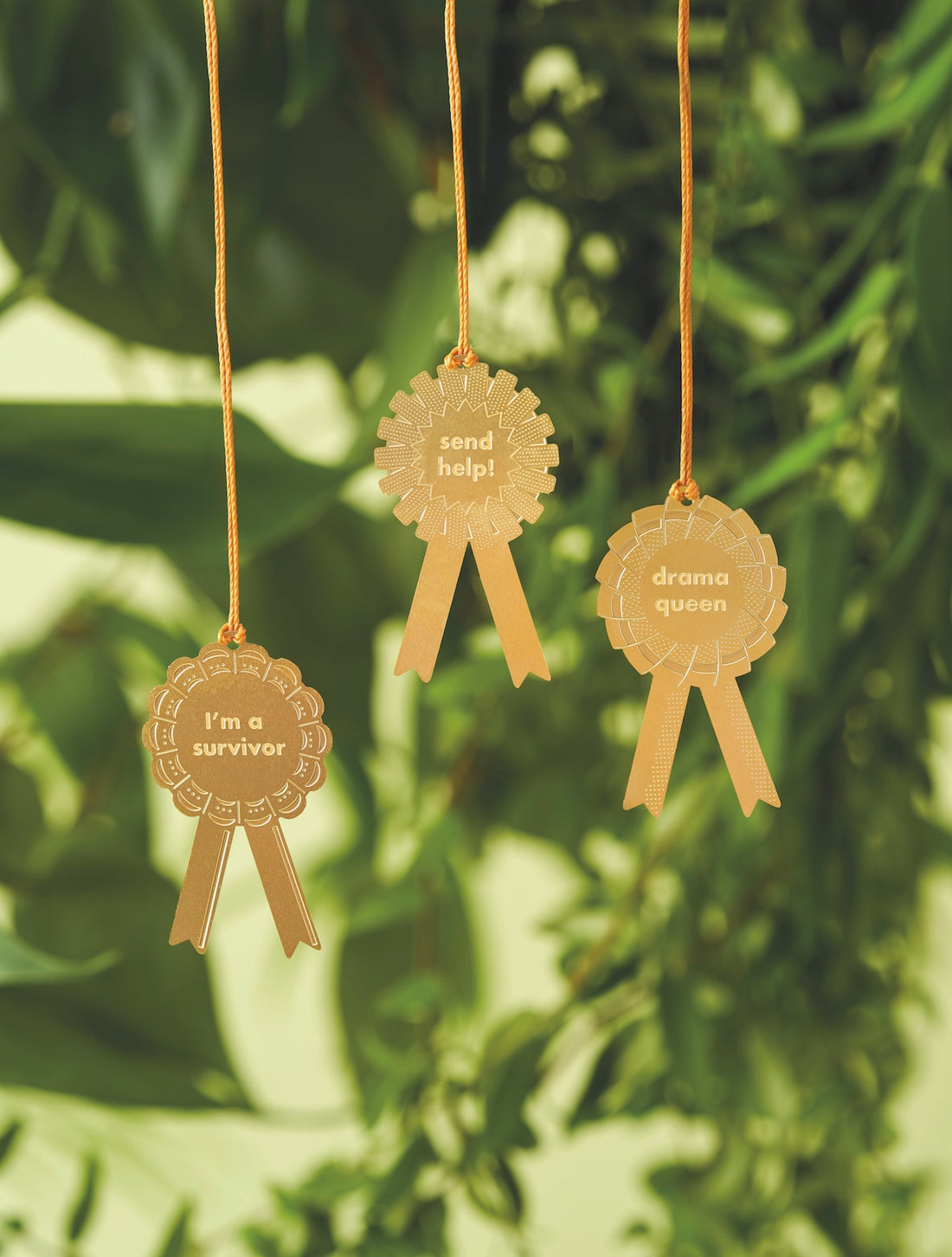 Plant Awards