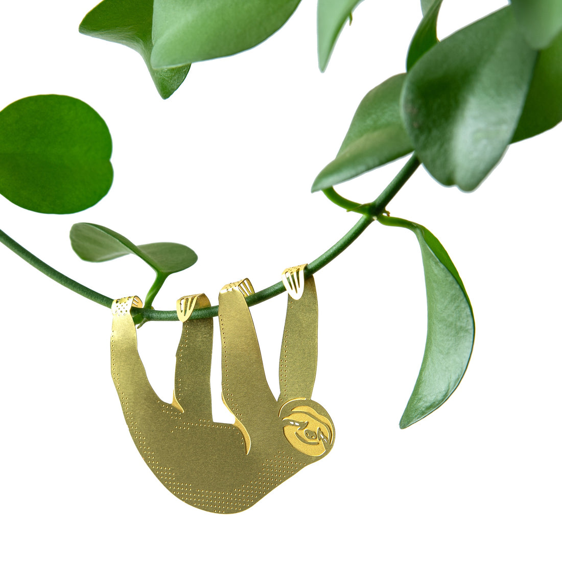 Plant Animals - Sloth