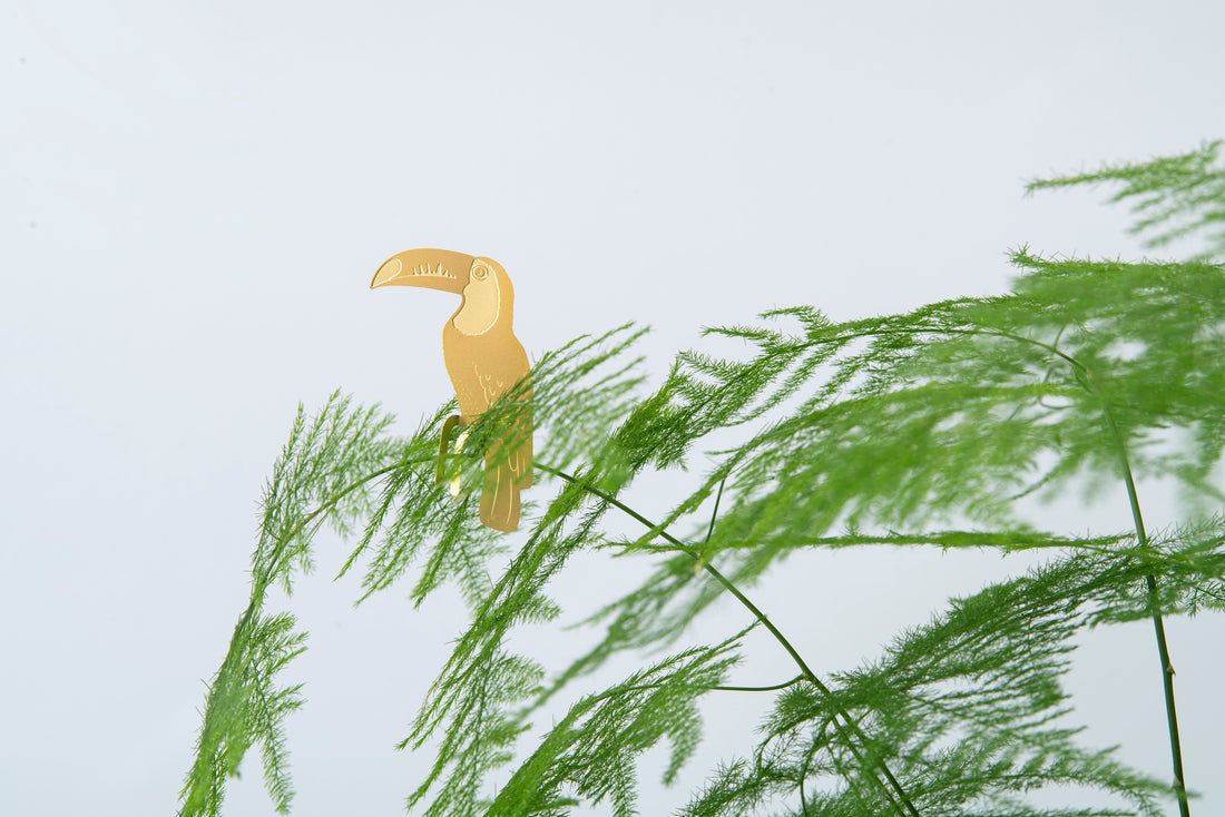 Plant Animals - Toucan