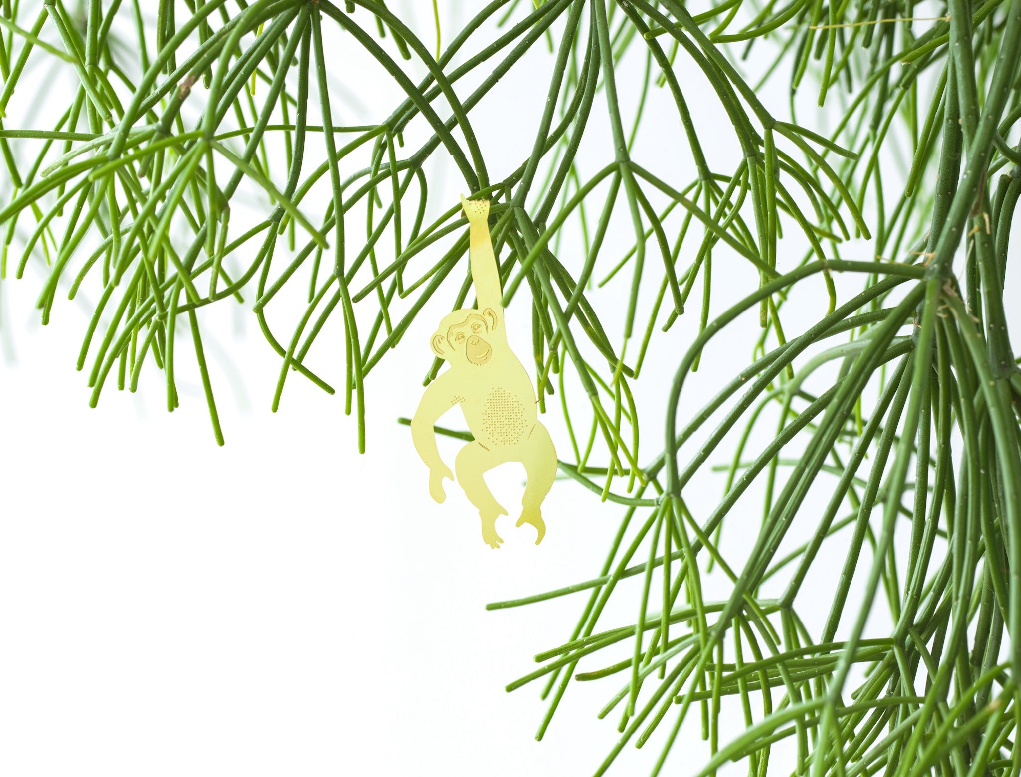 Plant Animals - Chimpanzee