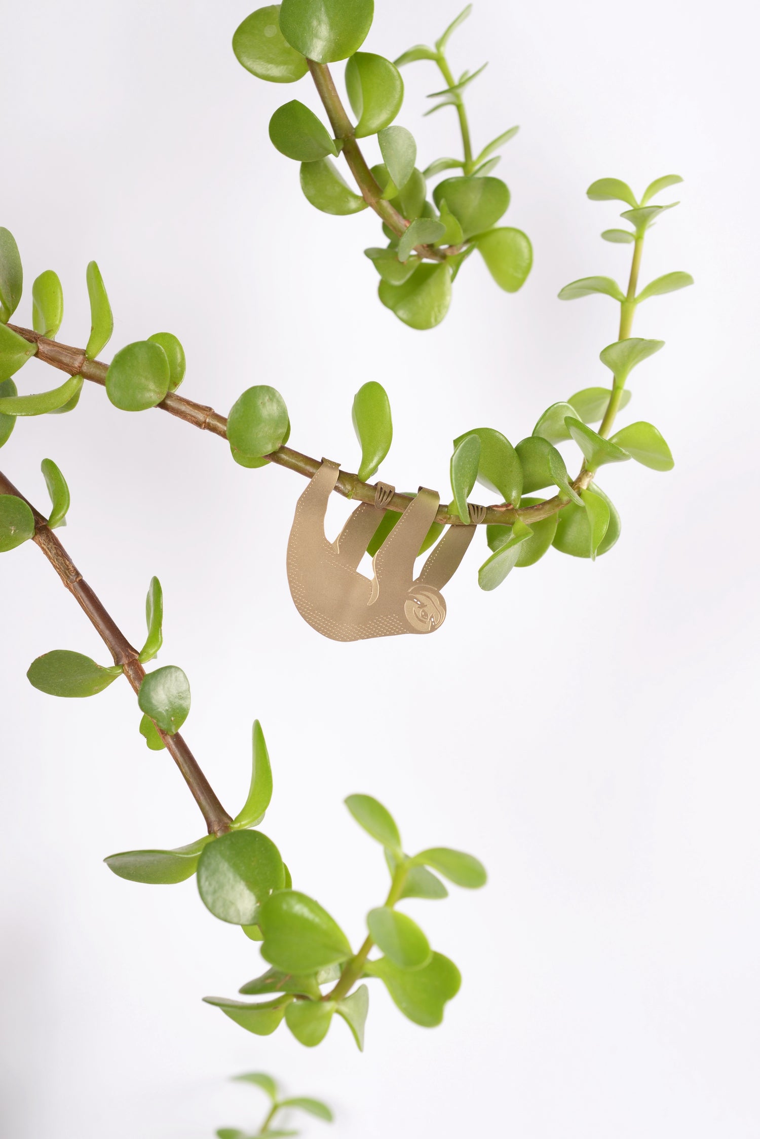 Plant Animals - Sloth