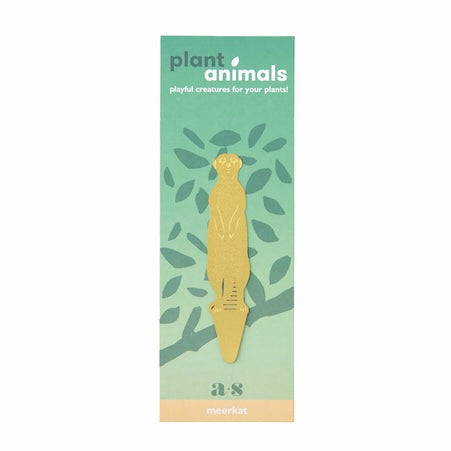 Plant Animals - Meerkat