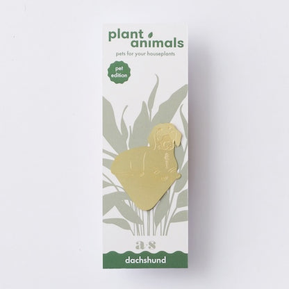 Plant Animals - Dachshund